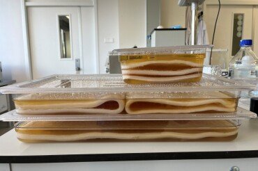 Foamlab produces innovative alternative to polluting polystyrene foam