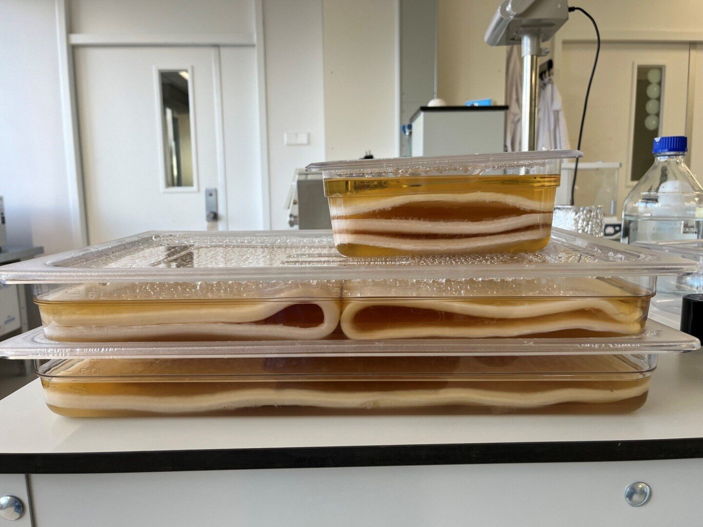 Foamlab maakt innovatief alternatief voor vervuilend piepschuim