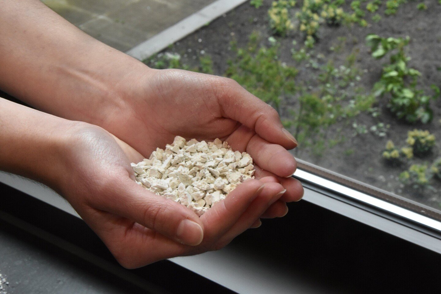 Paques Biomaterials maakt natuurlijke alternatief voor plastic